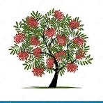Vintage Western Mountain Ash vector, | Premium Vector Illustration -  rawpixel